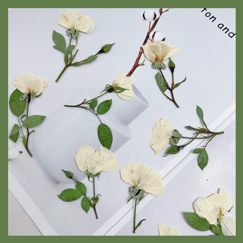 12pcs, Nature White Pink Red R - Wedding Card Box ulasan dan harga